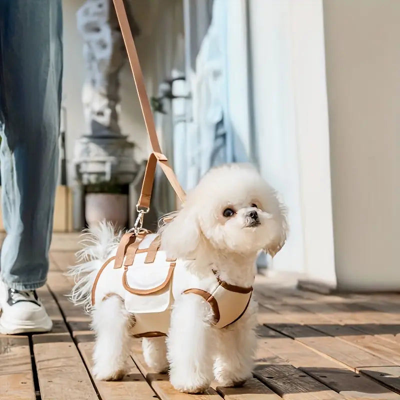 Tired of clunky bags? Carry your pet the classy way
