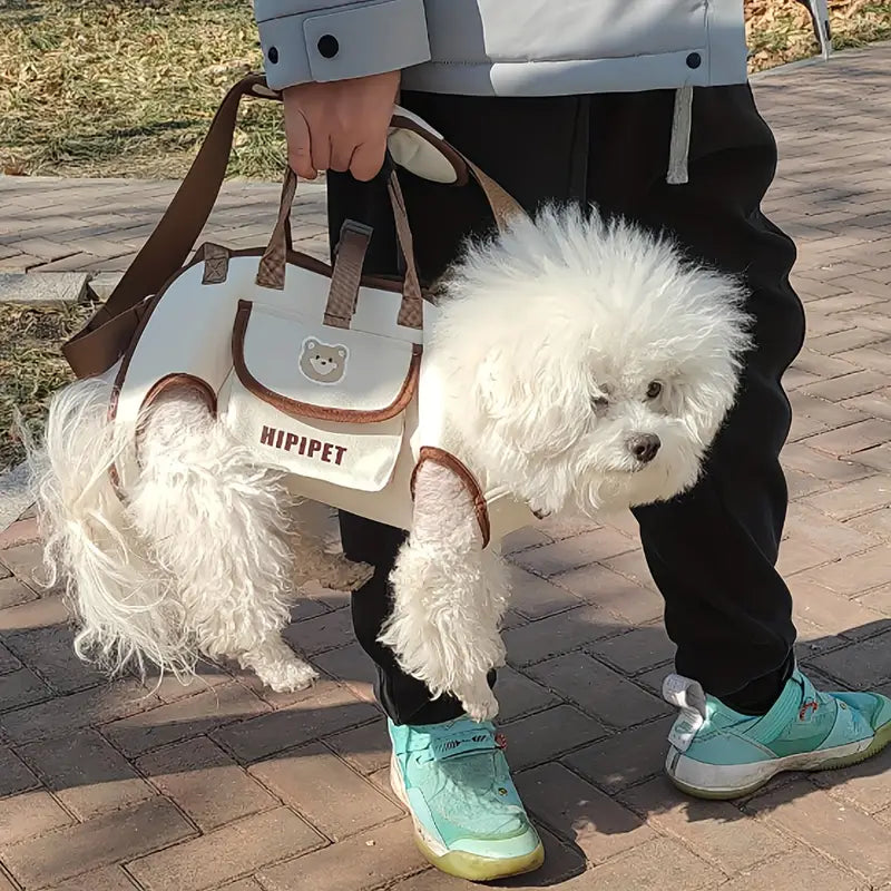 Tired of clunky bags? Carry your pet the classy way